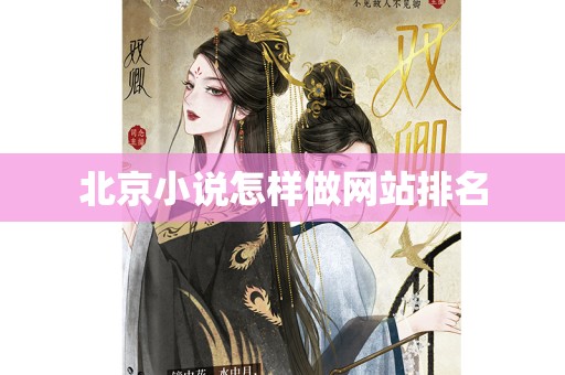北京小说怎样做网站排名