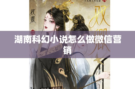 湖南科幻小说怎么做微信营销