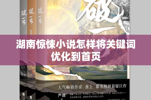 湖南惊悚小说怎样将关键词优化到首页