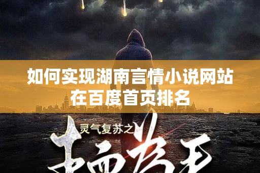 如何实现湖南言情小说网站在百度首页排名