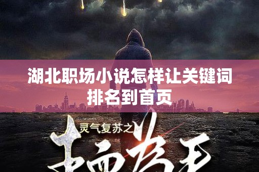 湖北职场小说怎样让关键词排名到首页