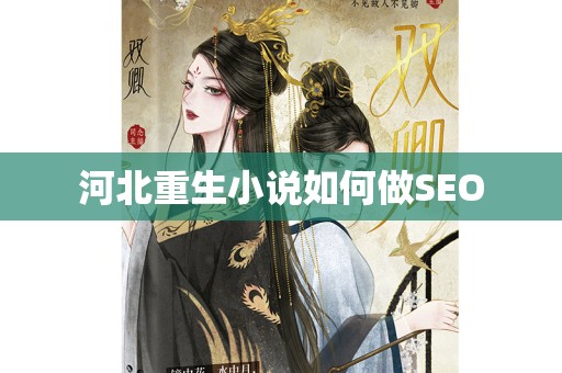 河北重生小说如何做SEO