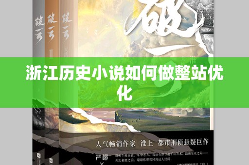 浙江历史小说如何做整站优化