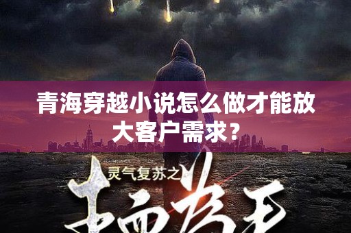 青海穿越小说怎么做才能放大客户需求？