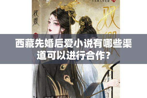 西藏先婚后爱小说有哪些渠道可以进行合作？