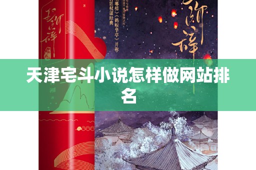 天津宅斗小说怎样做网站排名