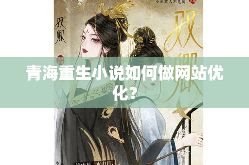 青海重生小说如何做网站优化？