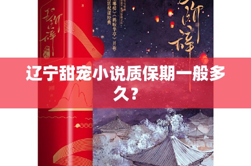 辽宁甜宠小说质保期一般多久？