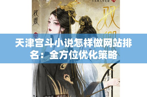 天津宫斗小说怎样做网站排名：全方位优化策略