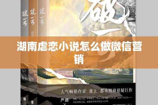 湖南虐恋小说怎么做微信营销