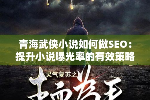 青海武侠小说如何做SEO：提升小说曝光率的有效策略
