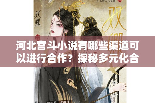 河北宫斗小说有哪些渠道可以进行合作？探秘多元化合作方式