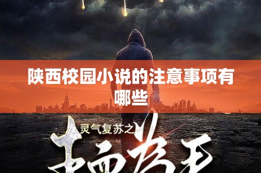 陕西校园小说的注意事项有哪些