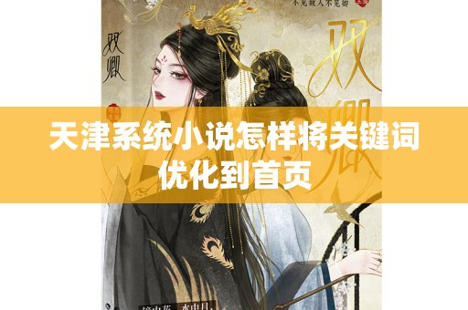 天津系统小说怎样将关键词优化到首页