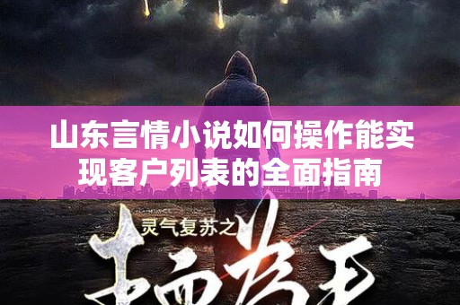 山东言情小说如何操作能实现客户列表的全面指南