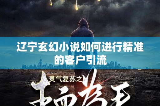 辽宁玄幻小说如何进行精准的客户引流
