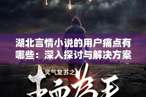 湖北言情小说的用户痛点有哪些：深入探讨与解决方案