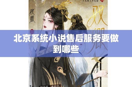 北京系统小说售后服务要做到哪些