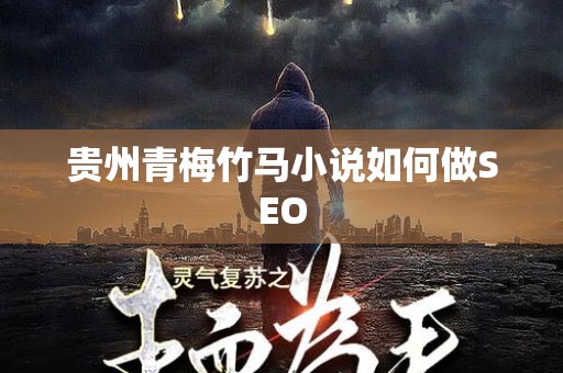 贵州青梅竹马小说如何做SEO