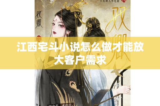 江西宅斗小说怎么做才能放大客户需求