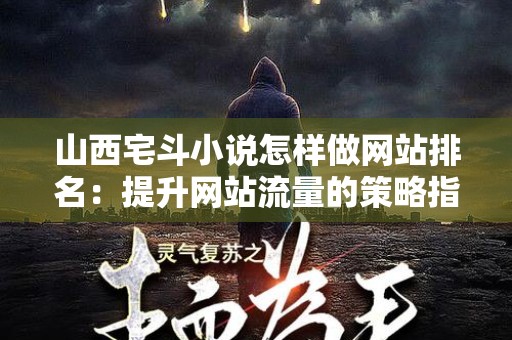 山西宅斗小说怎样做网站排名：提升网站流量的策略指南