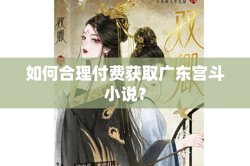 如何合理付费获取广东宫斗小说？