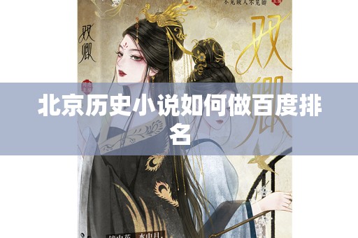 北京历史小说如何做百度排名