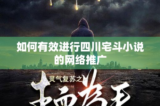 如何有效进行四川宅斗小说的网络推广