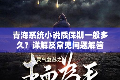 青海系统小说质保期一般多久？详解及常见问题解答