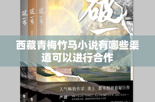 西藏青梅竹马小说有哪些渠道可以进行合作