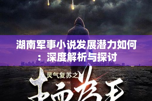 湖南军事小说发展潜力如何：深度解析与探讨