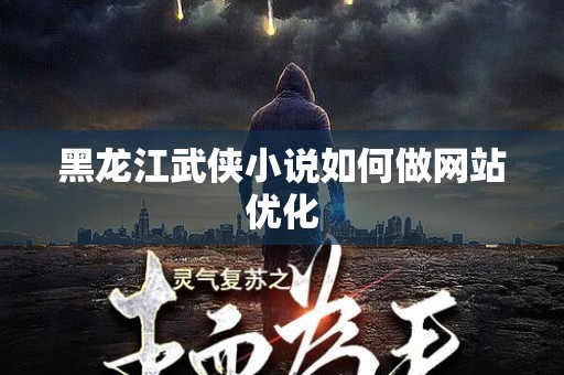 黑龙江武侠小说如何做网站优化