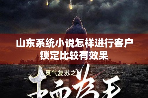 山东系统小说怎样进行客户锁定比较有效果