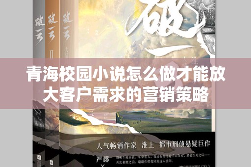青海校园小说怎么做才能放大客户需求的营销策略