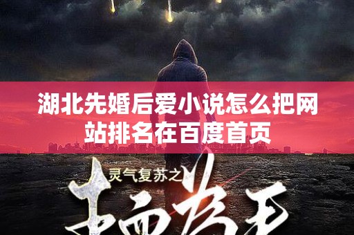 湖北先婚后爱小说怎么把网站排名在百度首页
