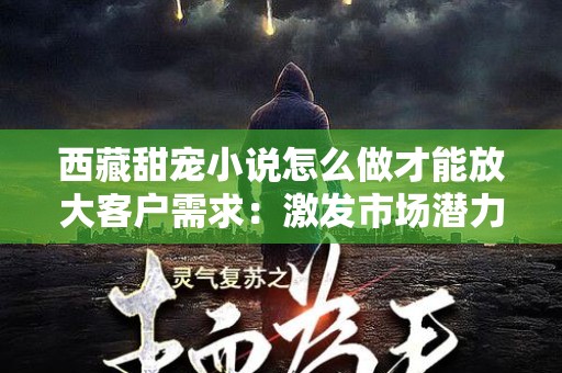 西藏甜宠小说怎么做才能放大客户需求：激发市场潜力的有效策略