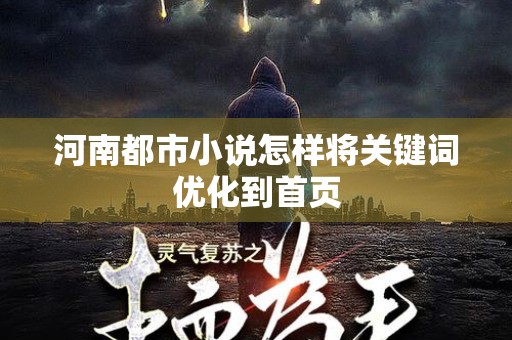 河南都市小说怎样将关键词优化到首页