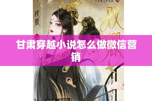 甘肃穿越小说怎么做微信营销