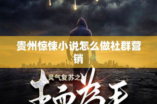 贵州惊悚小说怎么做社群营销