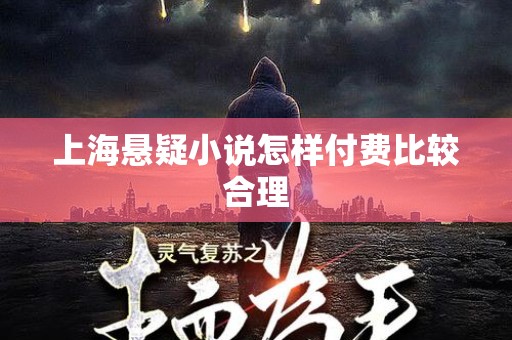 上海悬疑小说怎样付费比较合理