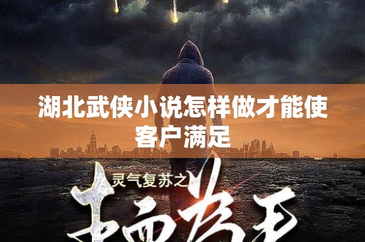 湖北武侠小说怎样做才能使客户满足