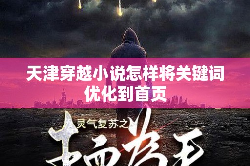 天津穿越小说怎样将关键词优化到首页