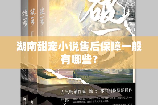 湖南甜宠小说售后保障一般有哪些？