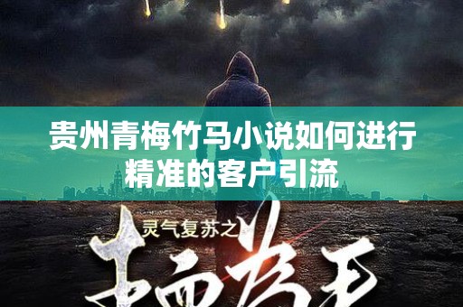 贵州青梅竹马小说如何进行精准的客户引流