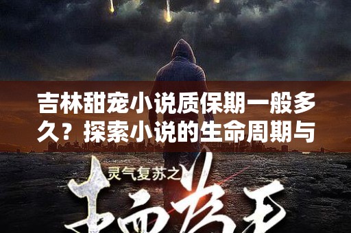 吉林甜宠小说质保期一般多久？探索小说的生命周期与质量保障