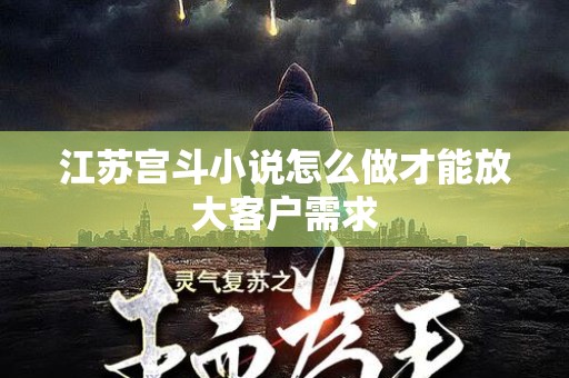 江苏宫斗小说怎么做才能放大客户需求