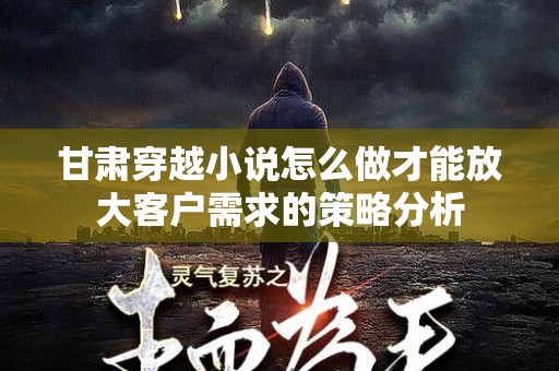 甘肃穿越小说怎么做才能放大客户需求的策略分析