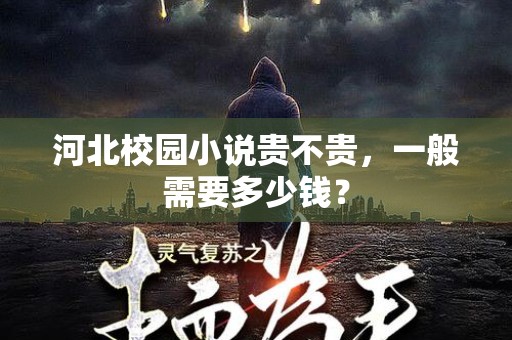 河北校园小说贵不贵，一般需要多少钱？