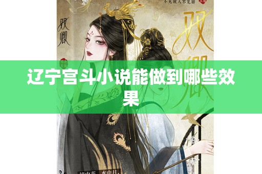 辽宁宫斗小说能做到哪些效果
