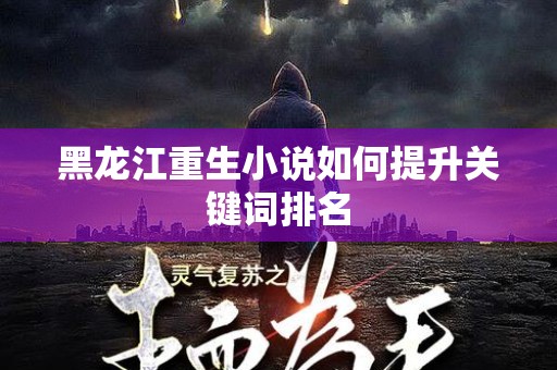 黑龙江重生小说如何提升关键词排名